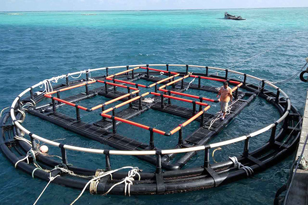 深海奇跡、水下牧場：探索深海養(yǎng)魚網(wǎng)箱在水產(chǎn)養(yǎng)殖中的新可能